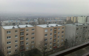 Homlokzat